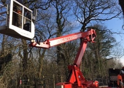 Access for Tree Cutting Clitheroe